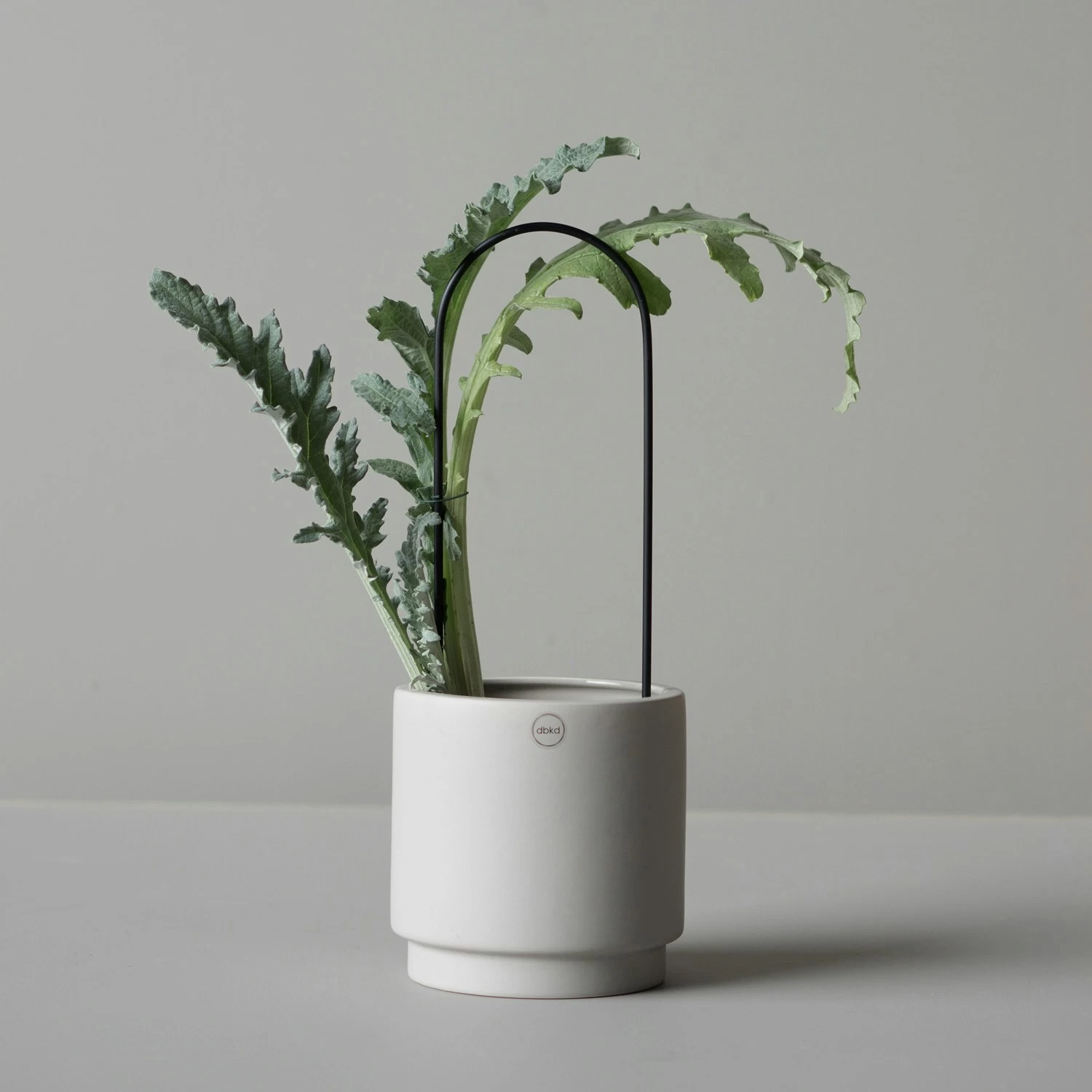 DBKD Flower Arc Pflanzenstütze, Schwarz – Bild 2