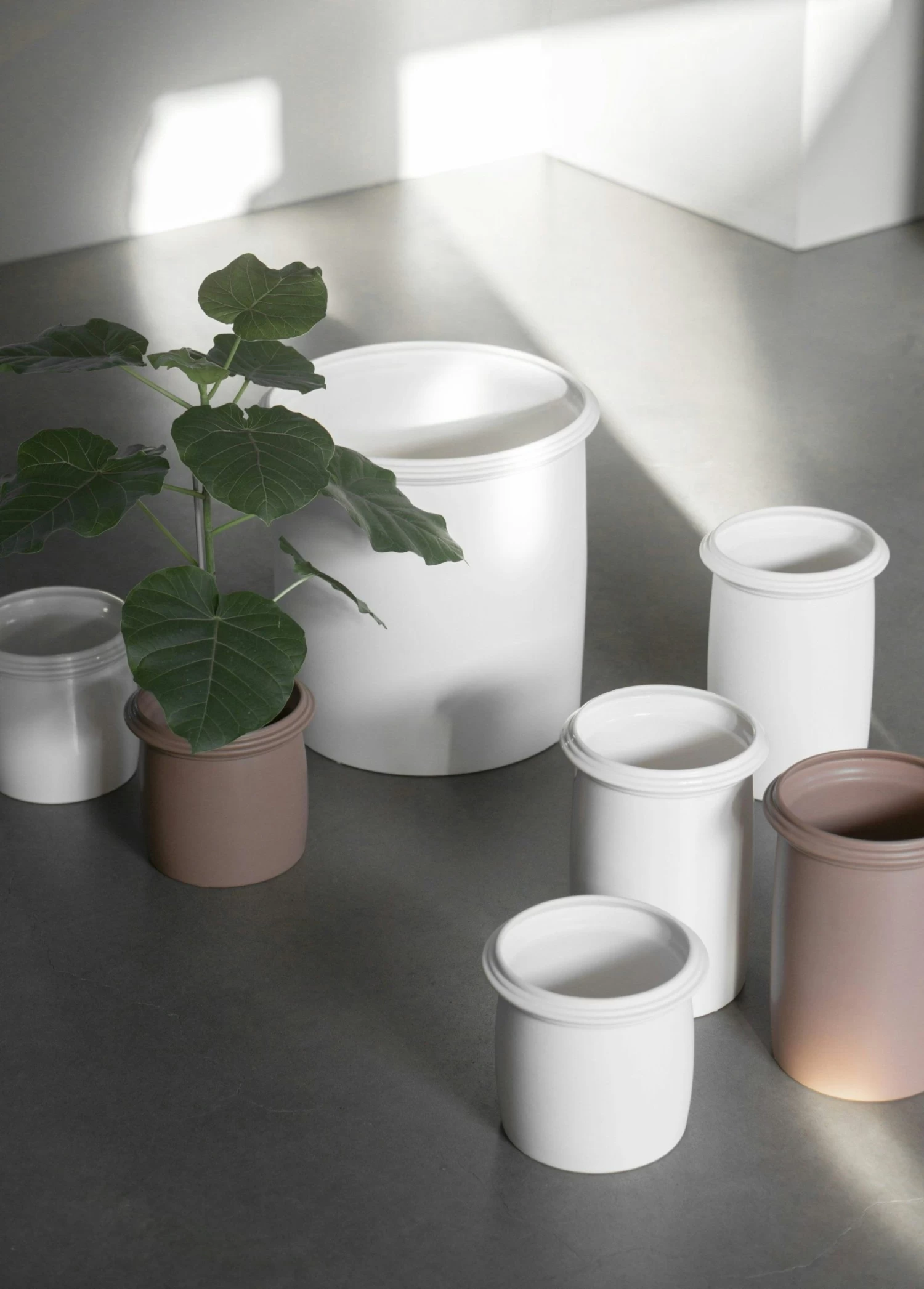 DBKD Kruset Topf Apricot, Small – Bild 3