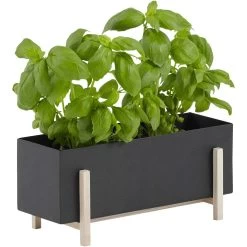 Design House Stockholm Blumenkiste, Schwarz