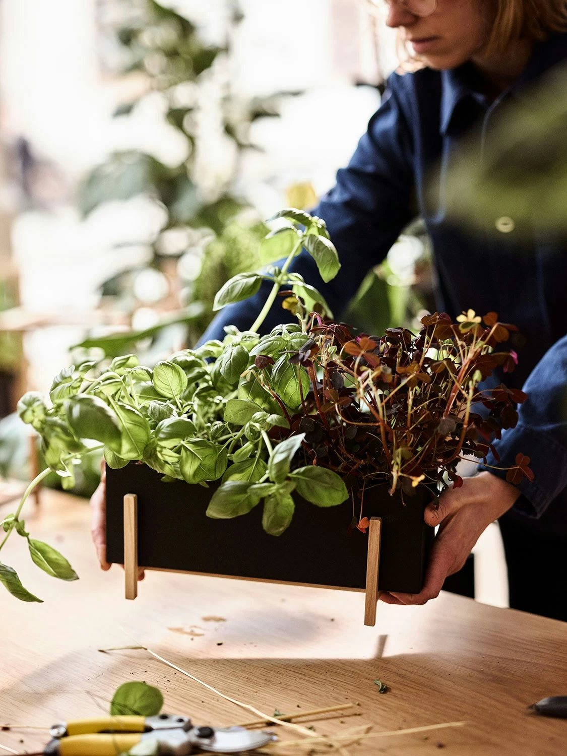 Design House Stockholm Blumenkiste, Schwarz – Bild 3