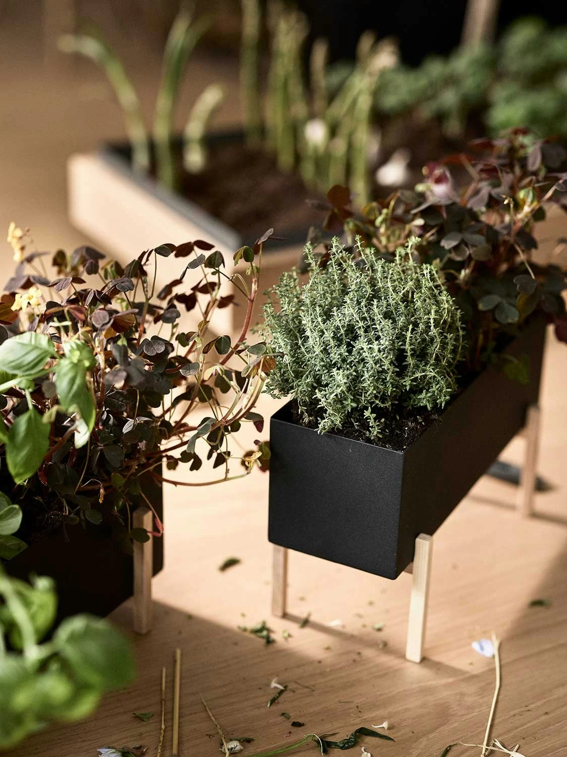 Design House Stockholm Blumenkiste, Schwarz – Bild 4